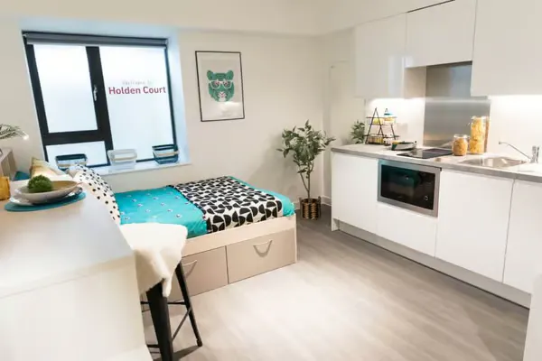 Deluxe Studio room image 1