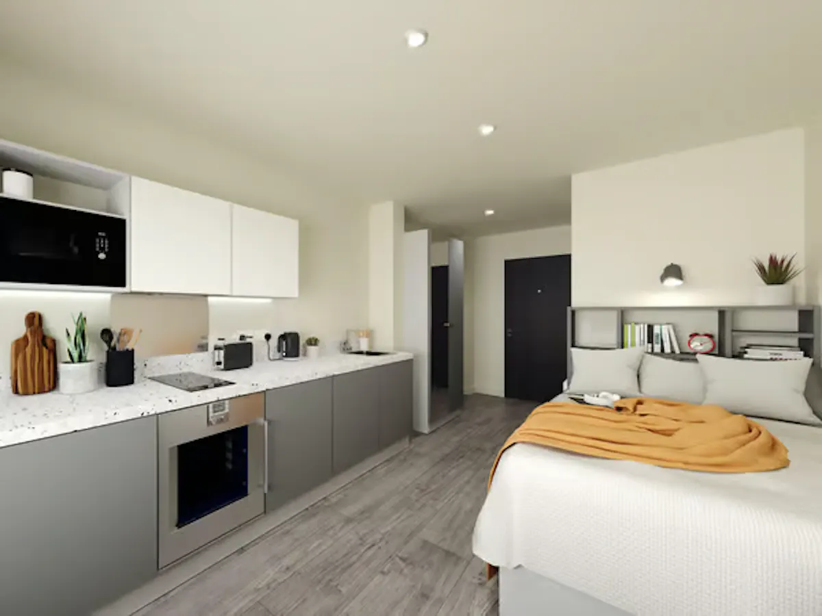 Bronze Plus Studio  ROOM