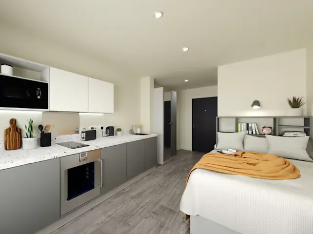Bronze Plus Studio  room image 1