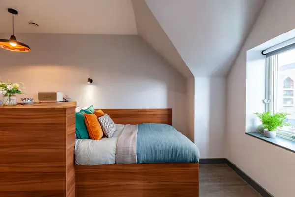Deluxe Studio room image 1