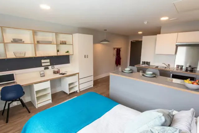 Deluxe Studio room image 2