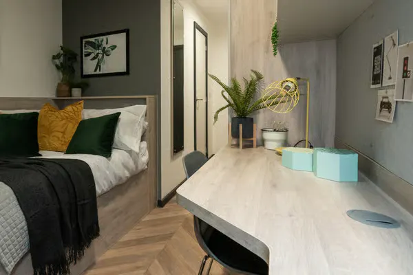 Deluxe Plus En Suite room image 2