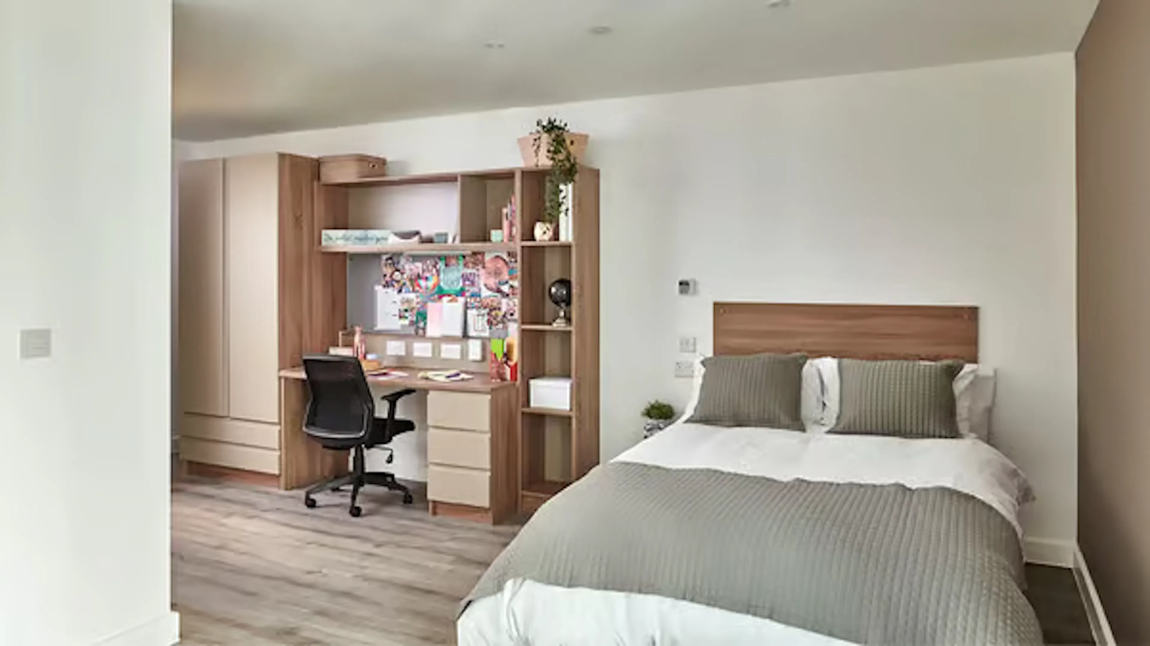 Standard Ensuite Plus ROOM 2