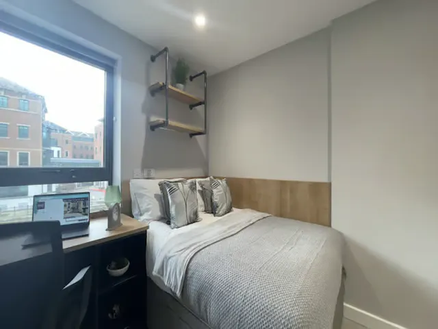 Bronze Studio room image 2