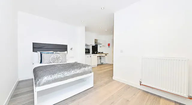 Large Premium Studio room image 2