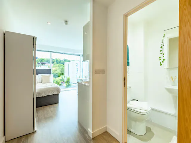 Premium Plus room image 2