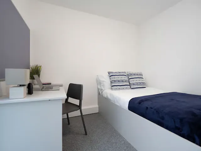 Bronze Ensuite room image 2