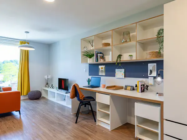 Luxury Studio room image 2