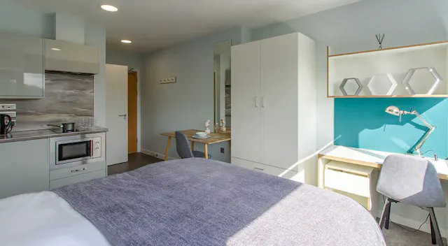 Premium Studio room image 2