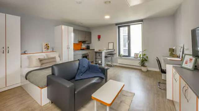 Large Studio room image 3