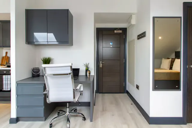 Executive Studio Plus room image 3