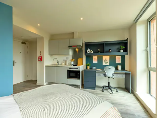 Gold Extra Studio room image 2