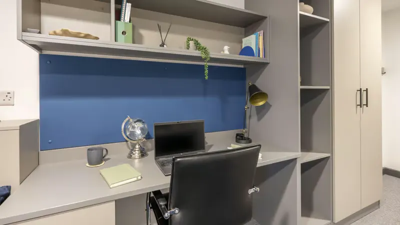 Bronze Studio Plus