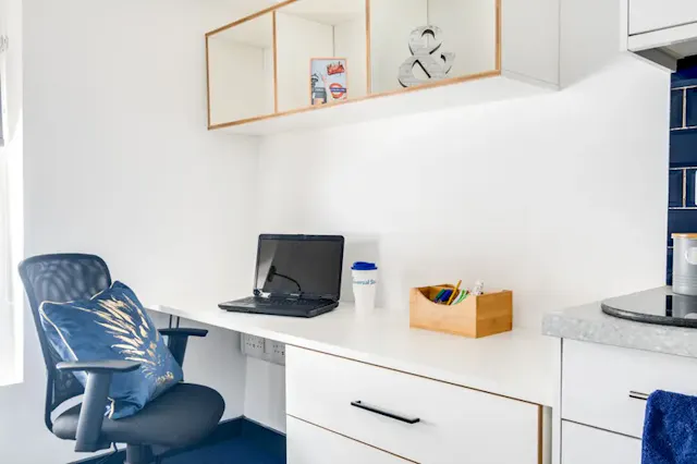 Bronze Plus Studio  room image 2