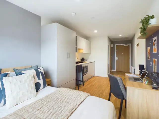 Large Studio room image 2