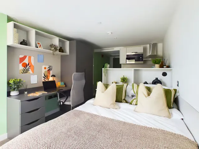 Premier Studio room image 2