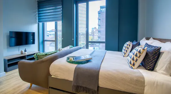 Luxury Plus Studio room image 2