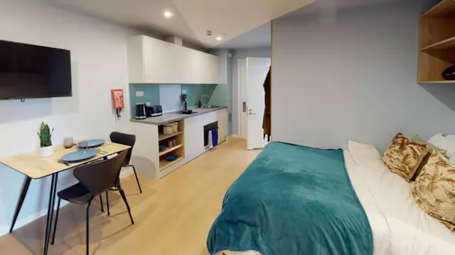 Studio Premium Plus room image 2