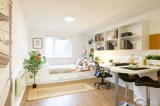 Classic Studio room image 2