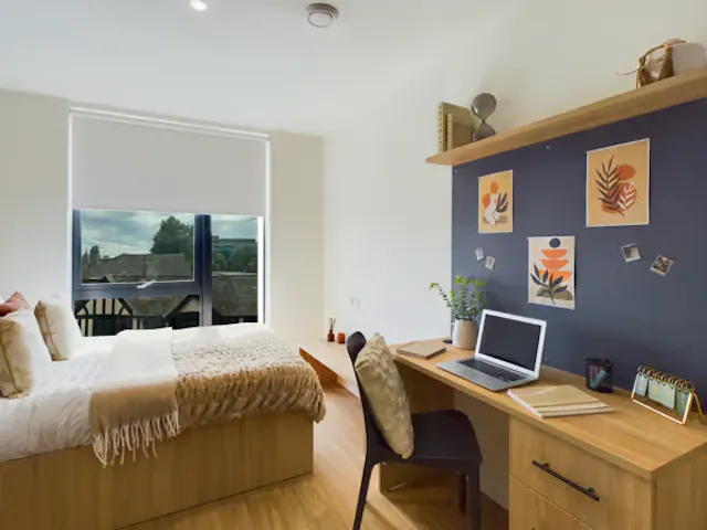 Standard Studio room image 2