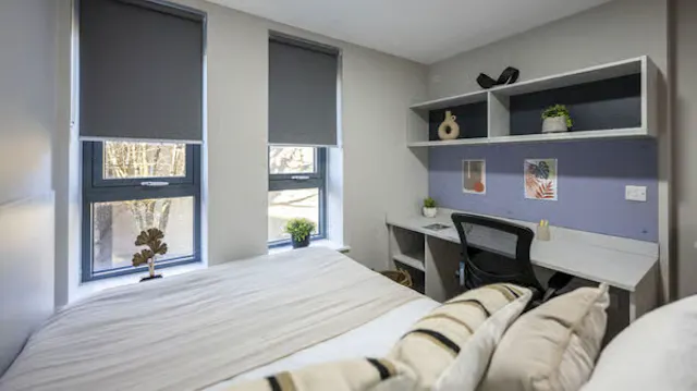 Classic Studio Plus room image 2