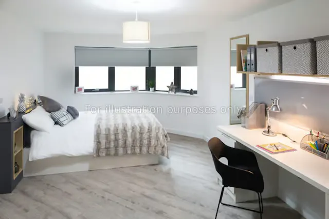 Deluxe Studio Plus room image 2