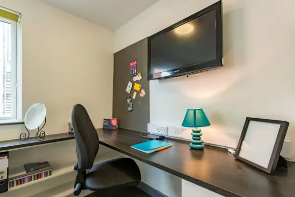 Extra Large Studio