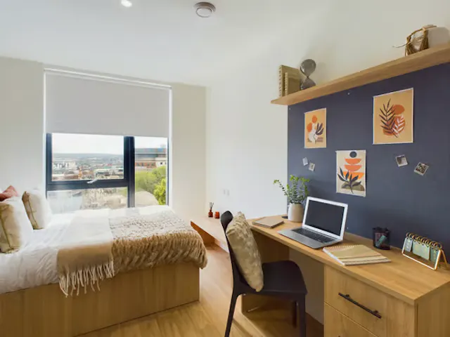 Premium Studio room image 2