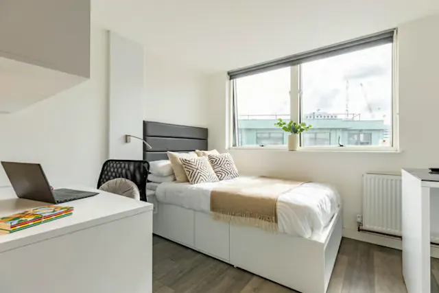 Deluxe Studio room image 2