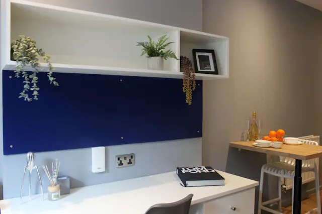 Premium Studio room image 2