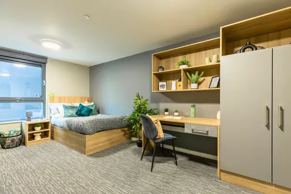 Gold Studio room image 2