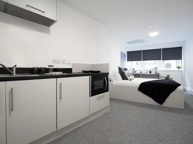 Silver Studio room image 2