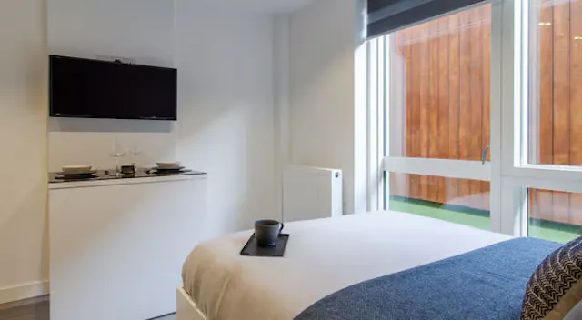 Large Classic Studio Plus room image 2