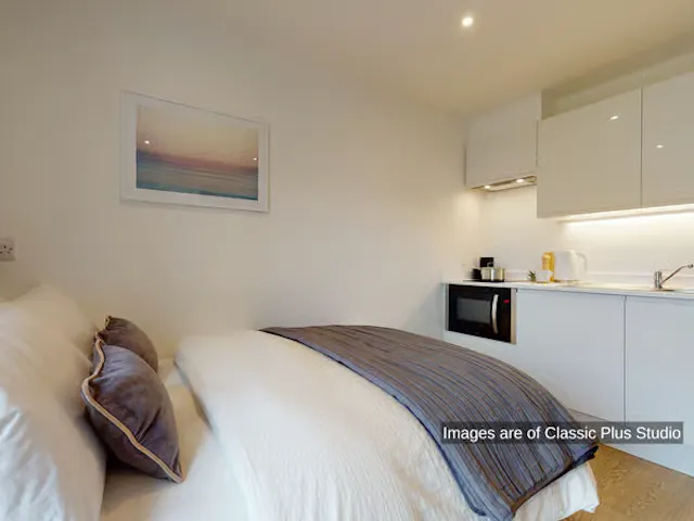 Premium Studio room image 2