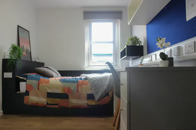 Premium Plus room image 1