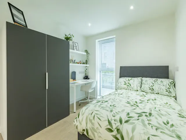 Deluxe Studio room image 2