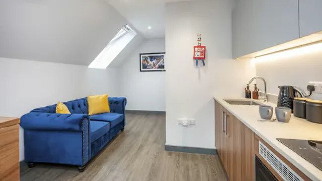 Executive Studio room image 2