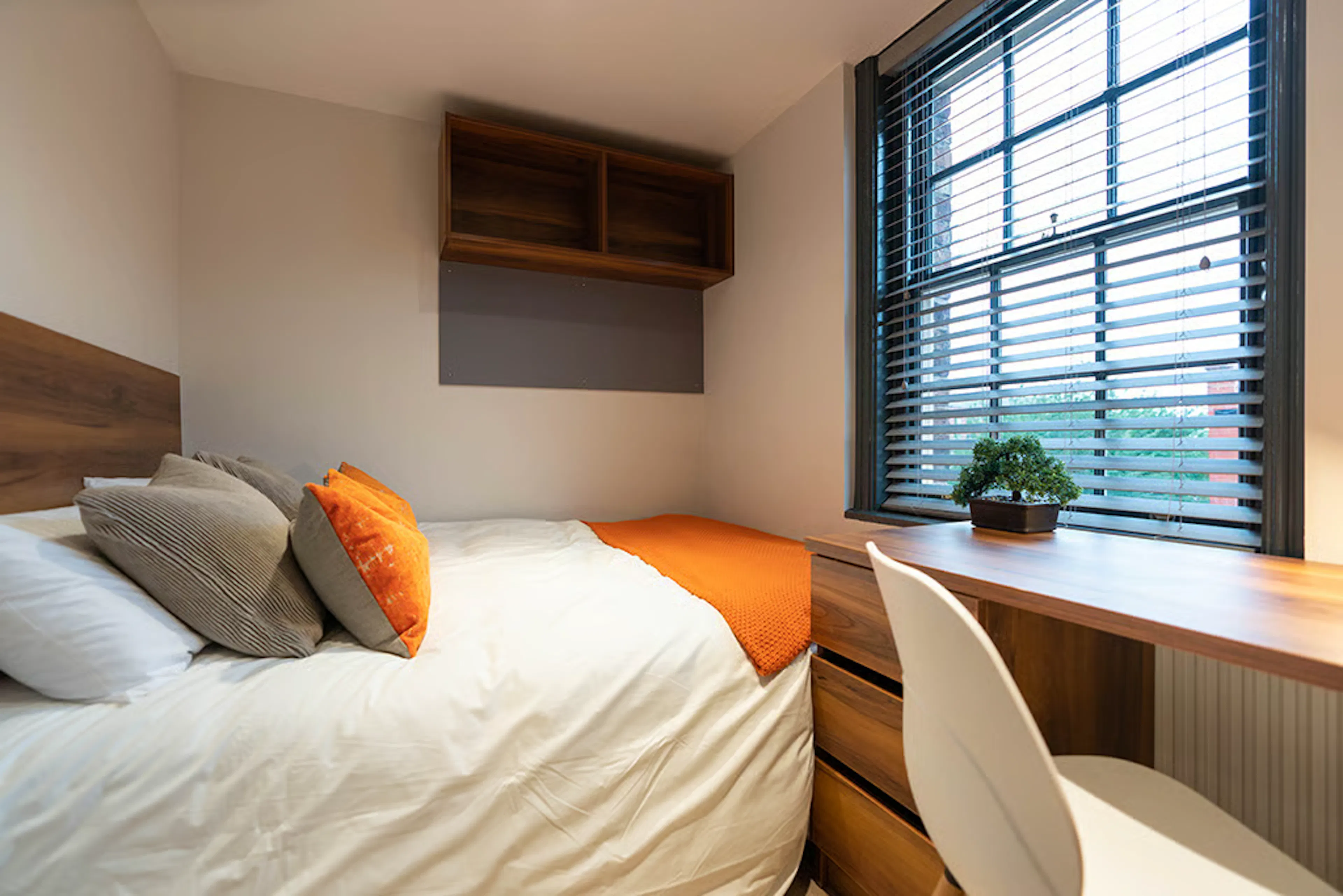 ROOM ROOM 3