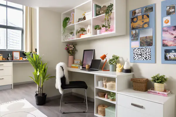 Premium Studio room image 1