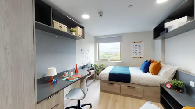 Premium Studio room image 2