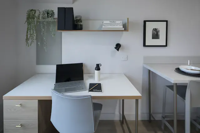 Silver Studio room image 2