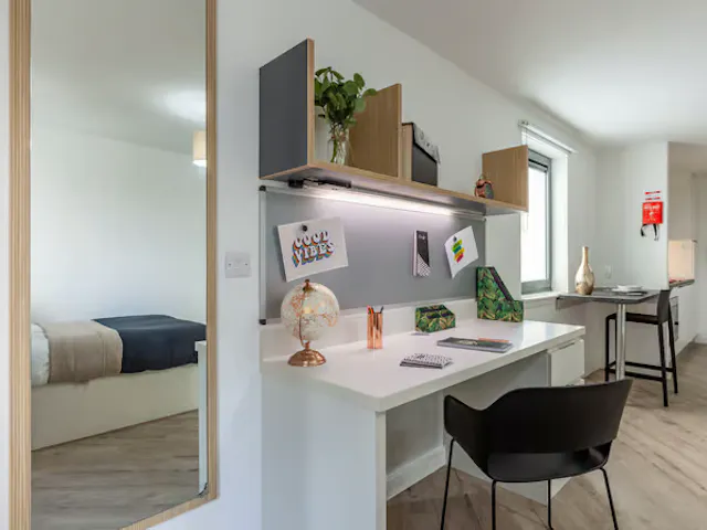 Deluxe Studio room image 2