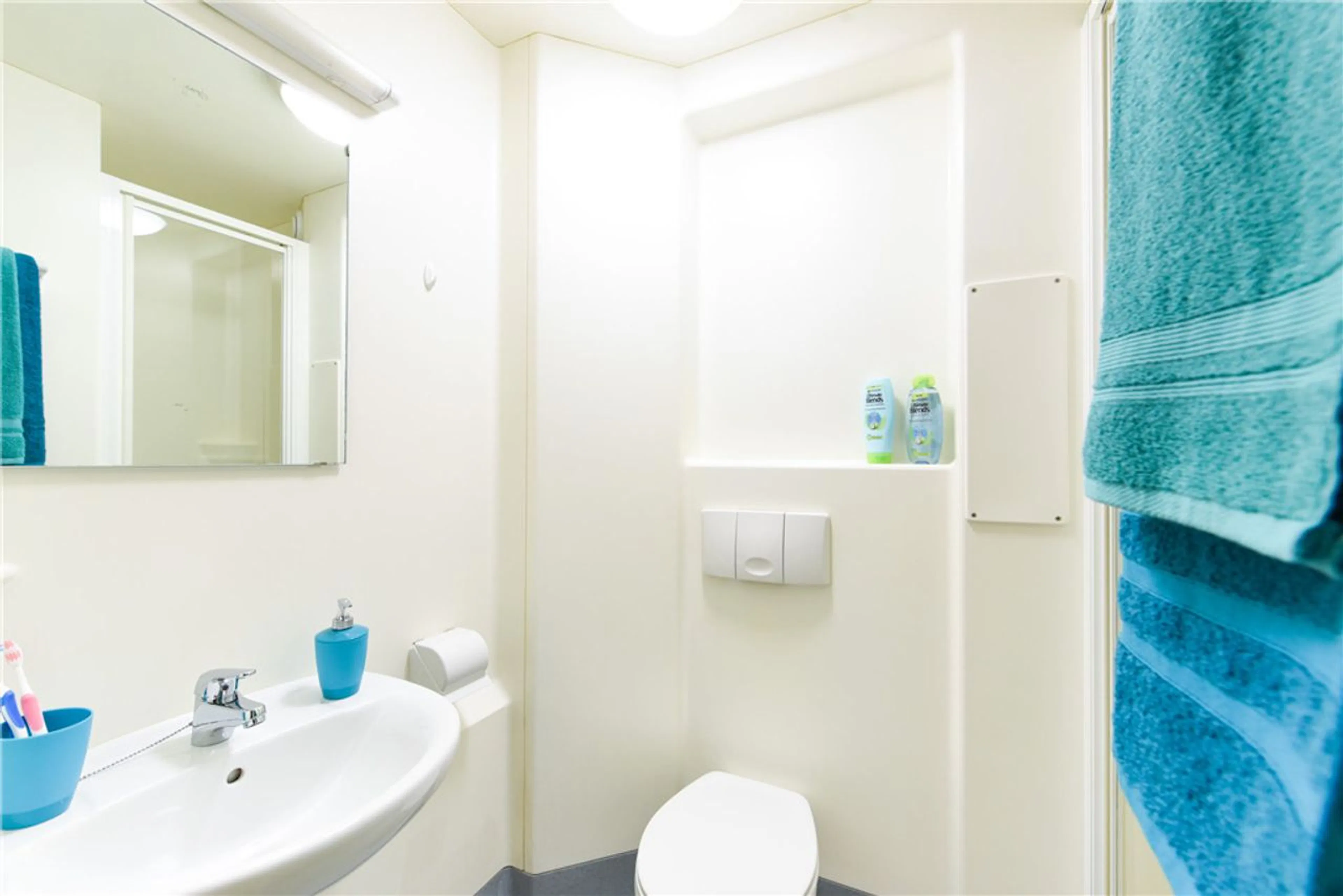 Bronze En-Suite BATHROOM 4