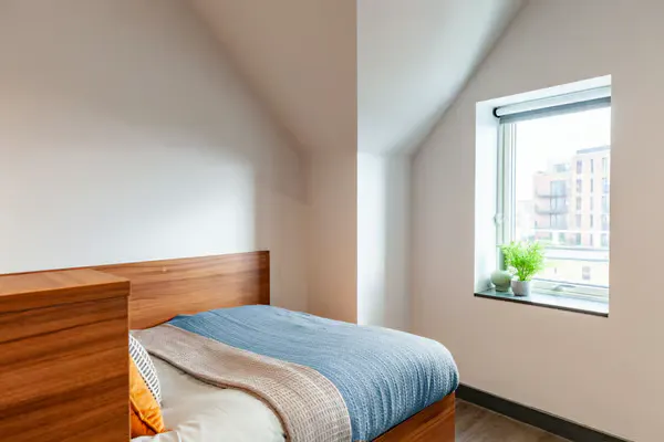 Deluxe Studio room image 2