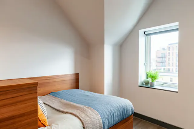 Deluxe Studio room image 2