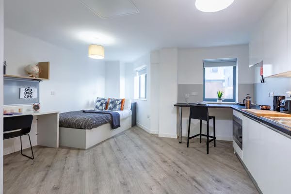 Deluxe Accessible Studio Plus