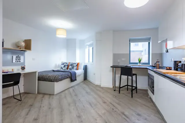 Deluxe Accessible Studio Plus room image 3