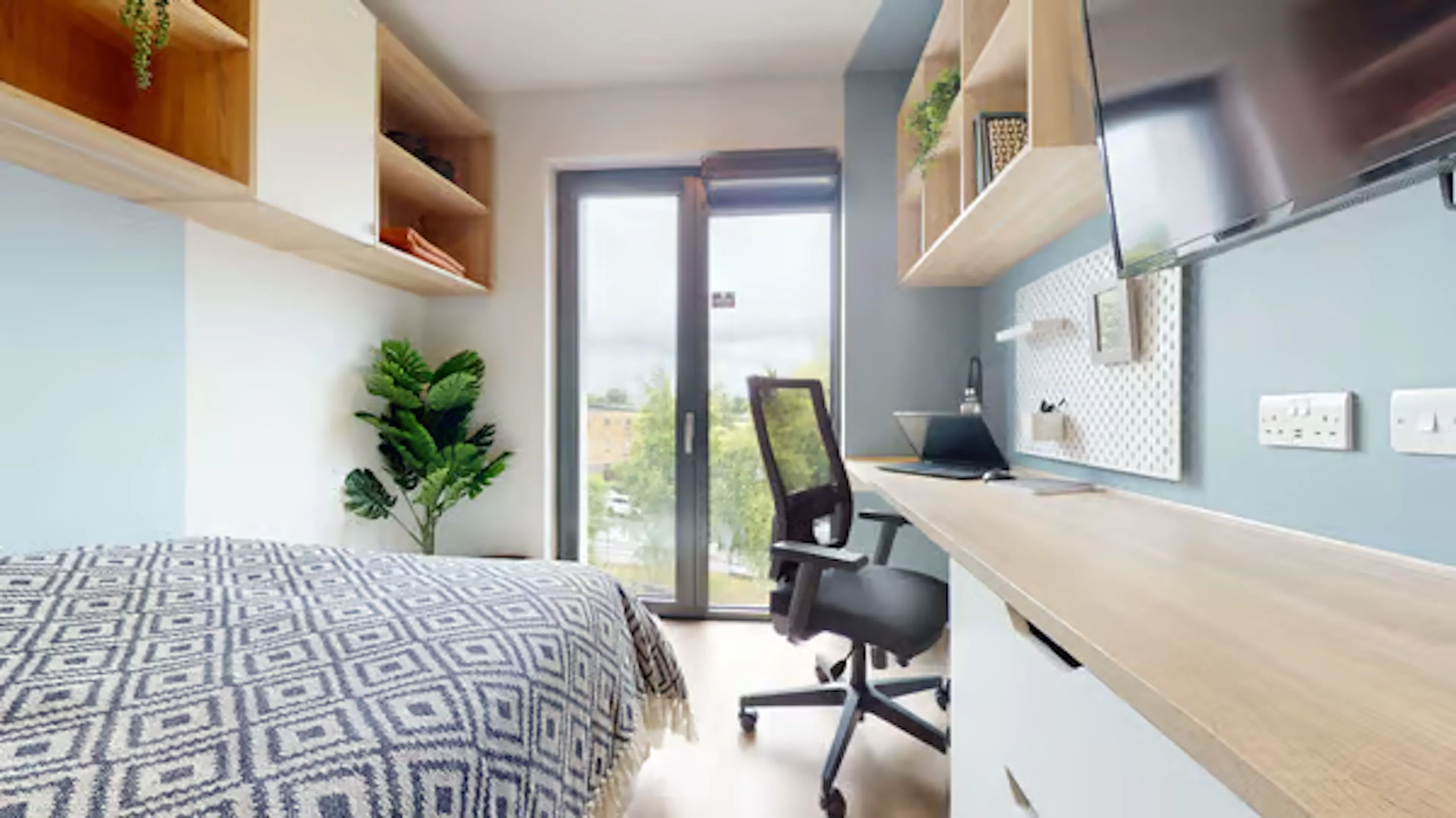 3 Bed Cluster ROOM 2