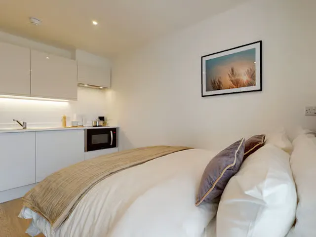 Classic Studio room image 3