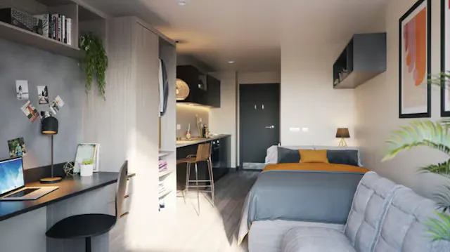 Deluxe Studio room image 2